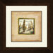 Summer Light A Framed Art