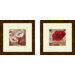 Floral Amapola Blanca Framed Art (Set of 2)