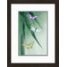 Walt Disney Signature Giclee XV Framed Print #301b Inspired by Fantasia � 18" x 14"