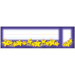 Seat And Cubby Signs Smiley Stars