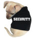 Security Dog Tank in Black