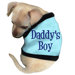 Daddy's Boy Dog Tank in Blue