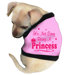 It's not Easy Being Princess Dog Tank in Pink