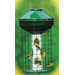 Avian Series Mixed Bird Feeder in Green