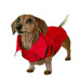 All-Weather Trench Dog Raincoat in Red