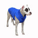 Puffy Dog Coat in Cobalt
