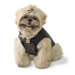 Puffy "Glam" Dog Coat in Black
