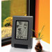 Wireless Temperature Station with Advanced "Weather Girl" Icon