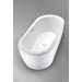 Cast Iron Nexus Bathtub