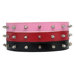 Studded Dog Collar