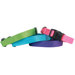 Adjustable Brites Dog Collar
