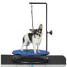 Small Dog Grooming Table