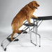 Non-Skid Pet Stairs for Grooming Table and SUV's