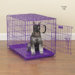 Proselect Dog Crate