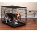 Everlasting Dual-Door Folding Dog Crate