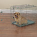 Smart Snap Dog Crate in Silver Sage