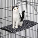 Wild Time Cat Perch Cover