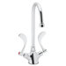 Commander Single Hole Faucet with Vandal-Resistant Gooseneck and Double Wrist Blade Handle
