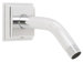 Rainier Shower Arm and Flange