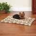 Dino Canvas Dog Mat