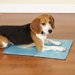 Cool Pup Dog Mat