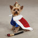 Royal Pup Dog Costume