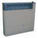 Direct Vent 21,000 BTU Gas Heater