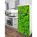 Domo Foliage Wall Decal