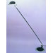 Braccino One Light Floor Lamp in Black