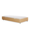 Ayres Trundle