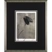 Silver Stem 1 Framed Print