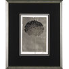Silver Stem 3 Framed Print