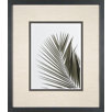 Palm Leaf 1 Framed Print