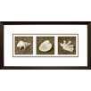Pepper Framed Print