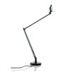 Berenice Large Table Lamp