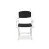 Selandia Arm Chair Back and Seat Cushion