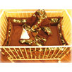 Green Camo Porta 4 Piece Crib Bedding Set