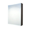 24" W x 30" H Surface Mount Medicine Cabinet with Beveled Mirror and Wood Frame in Walnut