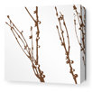 Morning Glory Undergrowth Stretched Wall Art in Chocolate 1