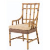 South Terrace Dining Arm Chair with Cushion