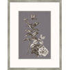 Buchoz Flowers on Gray Plum III Wall Art