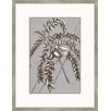Buchoz Flowers on Gray I Wall Art