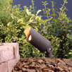 Architectural Bronze Mini Accent Spot Lighting 35W