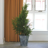 Slate Square Planter