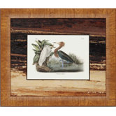 Graceful Water Fowl by Audobon Traditional Art (Set of 3) - 17" x 20"
