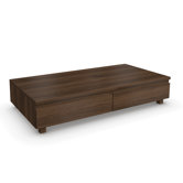 Hadlee Contemporary Walnut Livingroom 2 Drawer Coffee Table