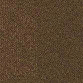 Main Street Square Carpet Tile in Storefront