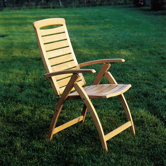 Catalina Dining Arm Chair