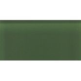 Glass Reflections 8 1/2" x 17" Glossy Wall Tile in Leafy Green