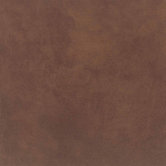 Veranda 13" x 20" Field Tile in Rawhide